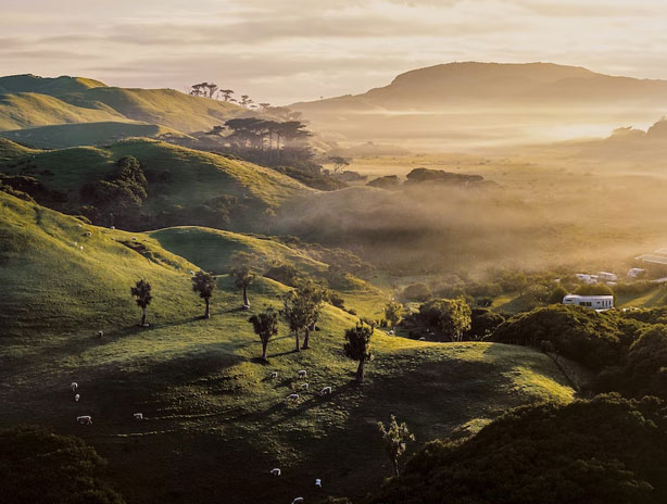 Build Your Wealth: A Practical Guide to Property Investment in Tauranga