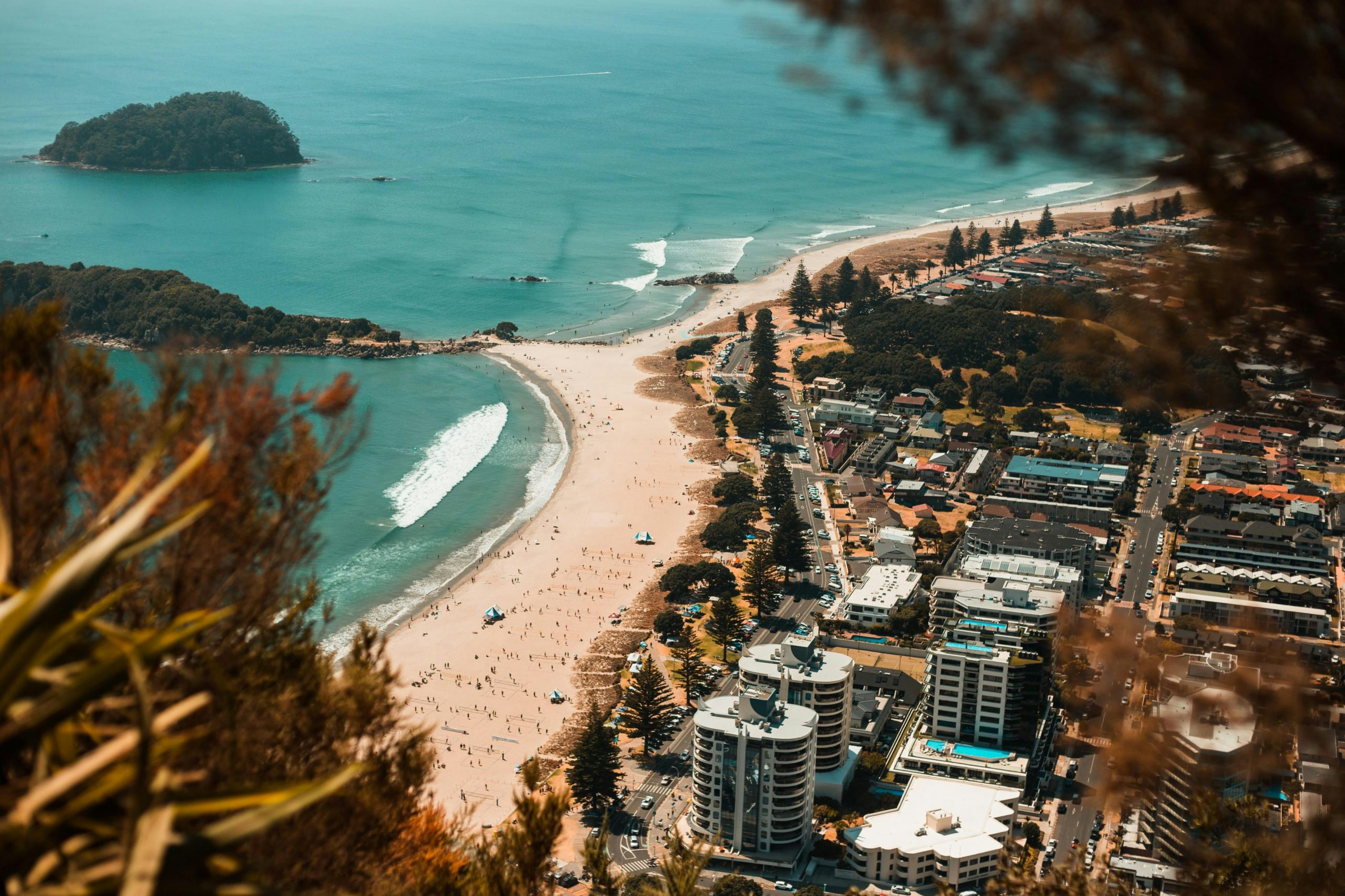Build Your Wealth: A Practical Guide to Property Investment in Tauranga